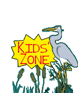 Welcome to Kids' Zone!