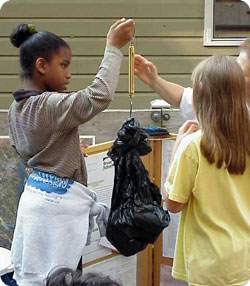 Students weighing trash