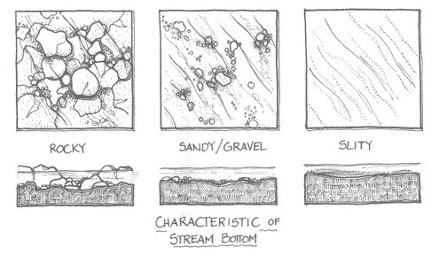 Characteristics of Stream Bottom