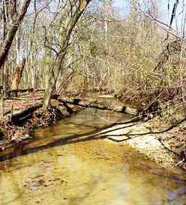 Accokeek Creek