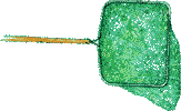 Dipnet
