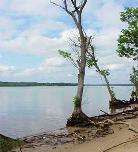 Potomac River